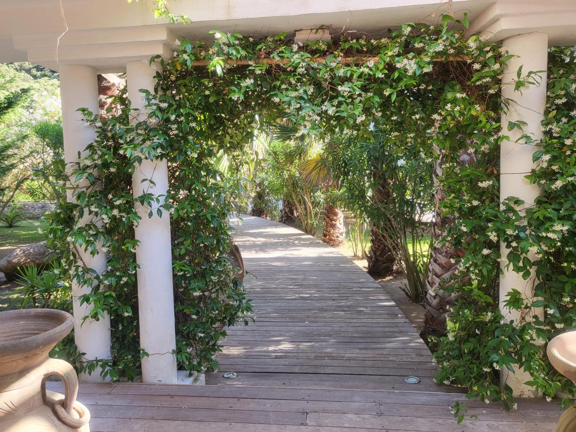 Petra-Bianca Bed & Breakfast Bonifacio  Bagian luar foto